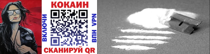 Купить закладки  Борзя  Cocaine 98% 