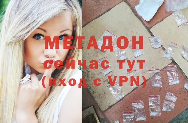 прущие грибы Каменка