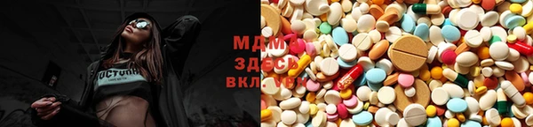 прущие грибы Каменка