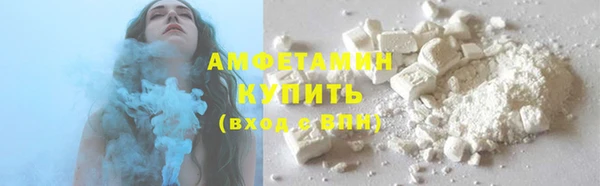 прущие грибы Каменка