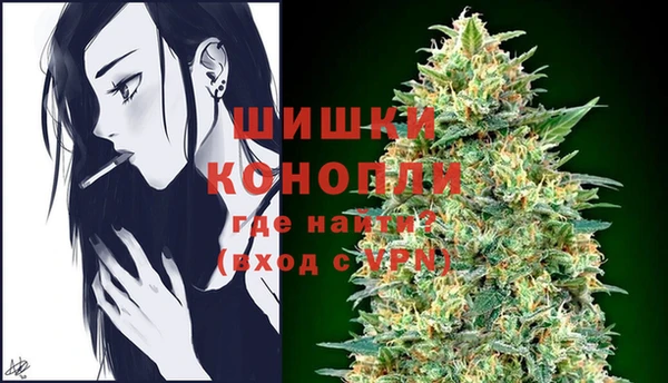 прущие грибы Каменка