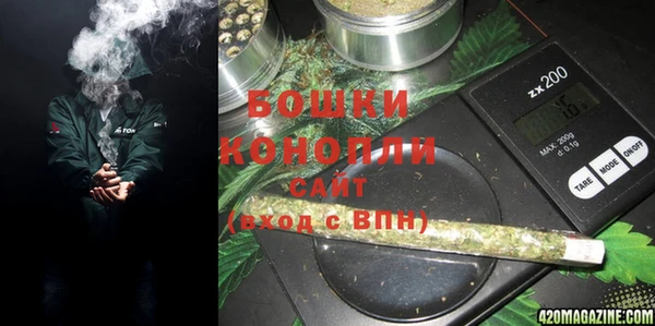 прущие грибы Каменка