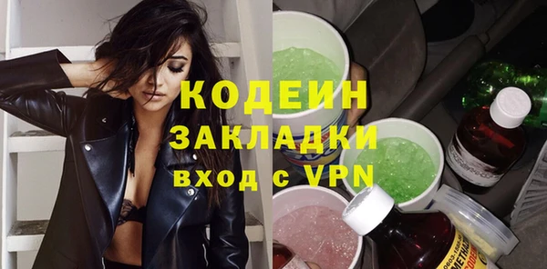 прущие грибы Каменка